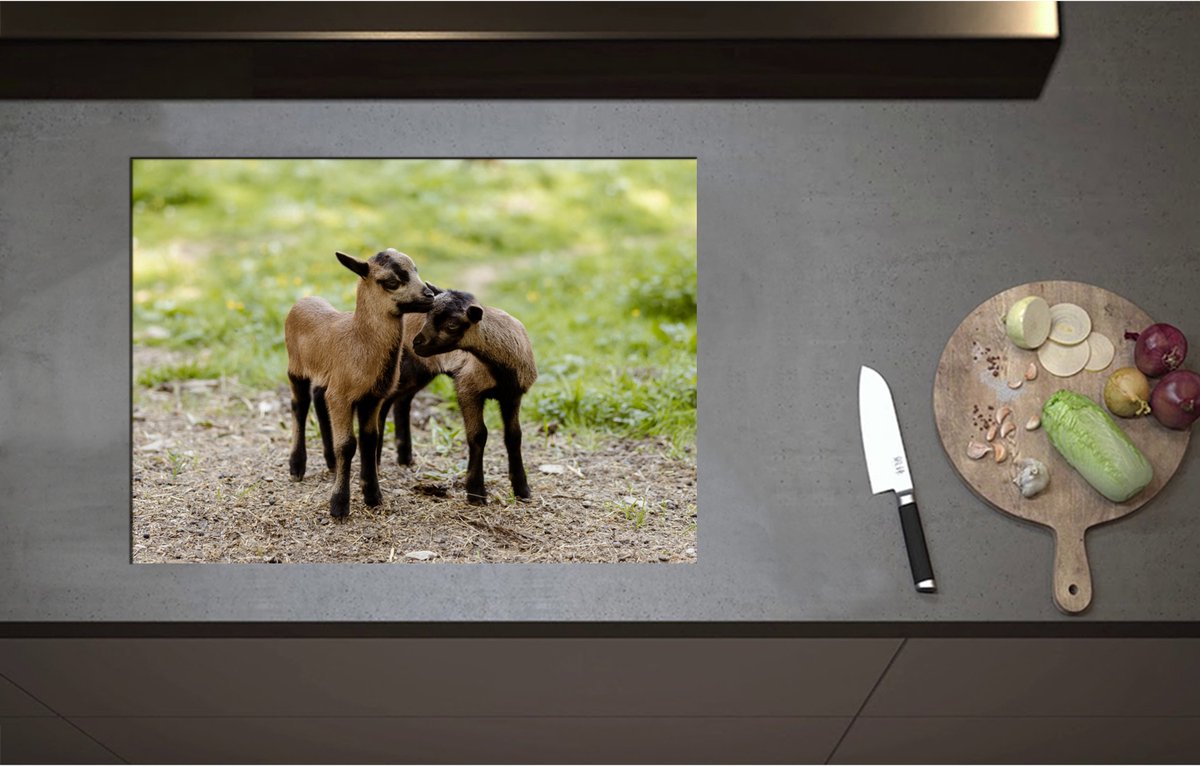 Inductieplaat Beschermer - Bruin met Zwarte Kussende Lammetjes - 71x51 cm - 2 mm Dik - Inductie Beschermer - Bescherming Inductiekookplaat - Kookplaat Beschermer van Zwart Vinyl
