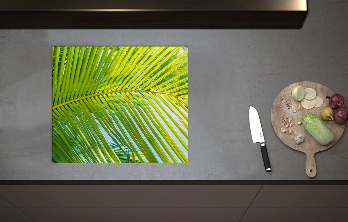 Inductieplaat Beschermer - Close up van Palmblad voor Blauwe Lucht - 59x51 cm - 2 mm Dik - Inductie Beschermer - Bescherming Inductiekookplaat - Kookplaat Beschermer van Zwart Vinyl
