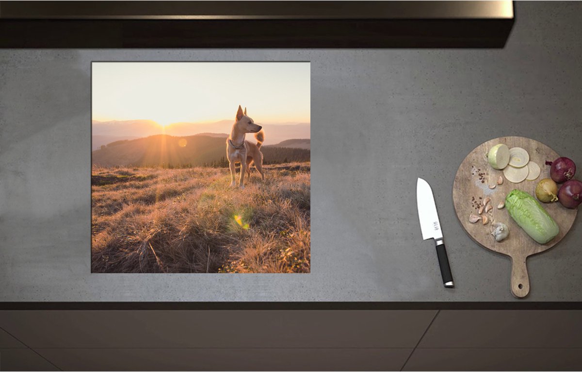 Inductieplaat Beschermer - Bruine Hond op de Top van de Berg bij Zonsondergang - 57x55 cm - 2 mm Dik - Inductie Beschermer - Bescherming Inductiekookplaat - Kookplaat Beschermer van Wit Vinyl