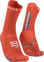 Compressport Pro Racing Socks v4.0 Run High Orangeade/Fjord Blue - Hardloopsokken