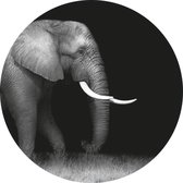 Behangcirkel Olifant op gras | ⌀ 120 cm | Wandecoratie | Wandcirkel