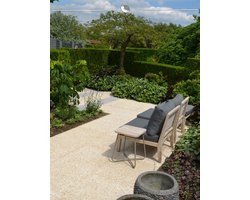 Westerse Levensboom Thuja Brabant 100-120 cm, 3x Haagplant
