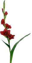 Viv! Home Luxuries Gladiool - zijden bloem - donkerrood - 97cm - topkwaliteit