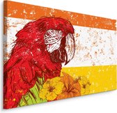 Schilderij - Ara Papegaai met Bloemen, Premium Print