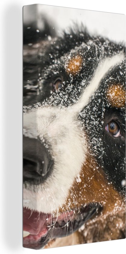 Canvas schilderij 80x160 cm - Wanddecoratie Een Berner Sennenhond onder het sneeuw - Muurdecoratie woonkamer - Slaapkamer decoratie - Kamer accessoires - Schilderijen