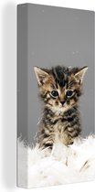 Canvas Schilderij Kat - Kitten - Veren - 40x80 cm - Wanddecoratie