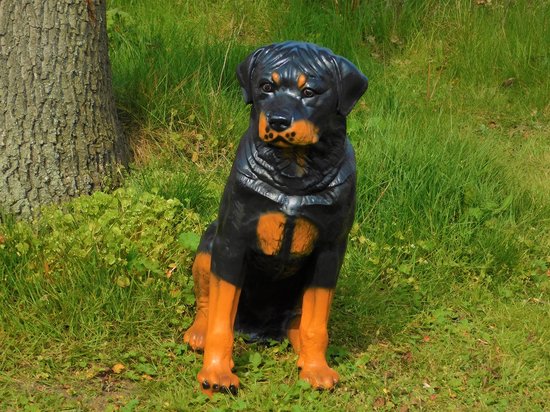 Statue rottweiler noir et brun, assise à côté d'un arbre dans l'herbe.