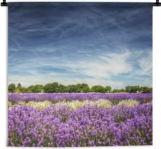 Tapisserie - Toile murale - Lavande violette et blanche en fleur dans un champ - 60x60 cm - Tapisserie