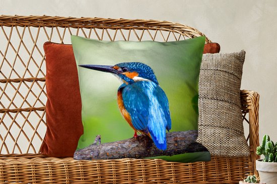Coussins Coussins décoratifs - Oreillers Salon - 50x50 cm - Martin-pêcheur - Branche - Blauw