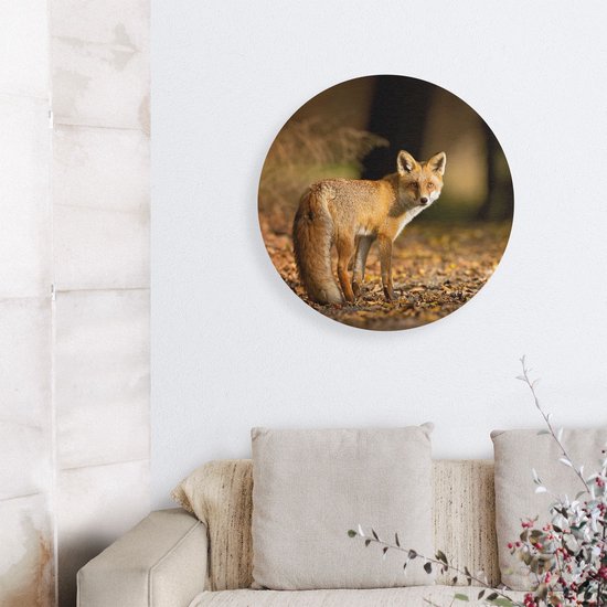 Artaza Dibond Cercle Mural Renard dans la Forêt d'Automne - Ø 60 cm - Cercle Mural - Peinture Ronde - Pour Intérieur et Extérieur