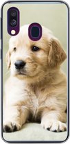 Geschikt voor Samsung Galaxy A40 hoesje - Golden Retriever puppy liggend op de bank - Siliconen Telefoonhoesje