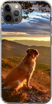 Geschikt voor iPhone 12 Pro Max hoesje - Een Golden Retriever kijkend naar de zonsondergang - Siliconen Telefoonhoesje