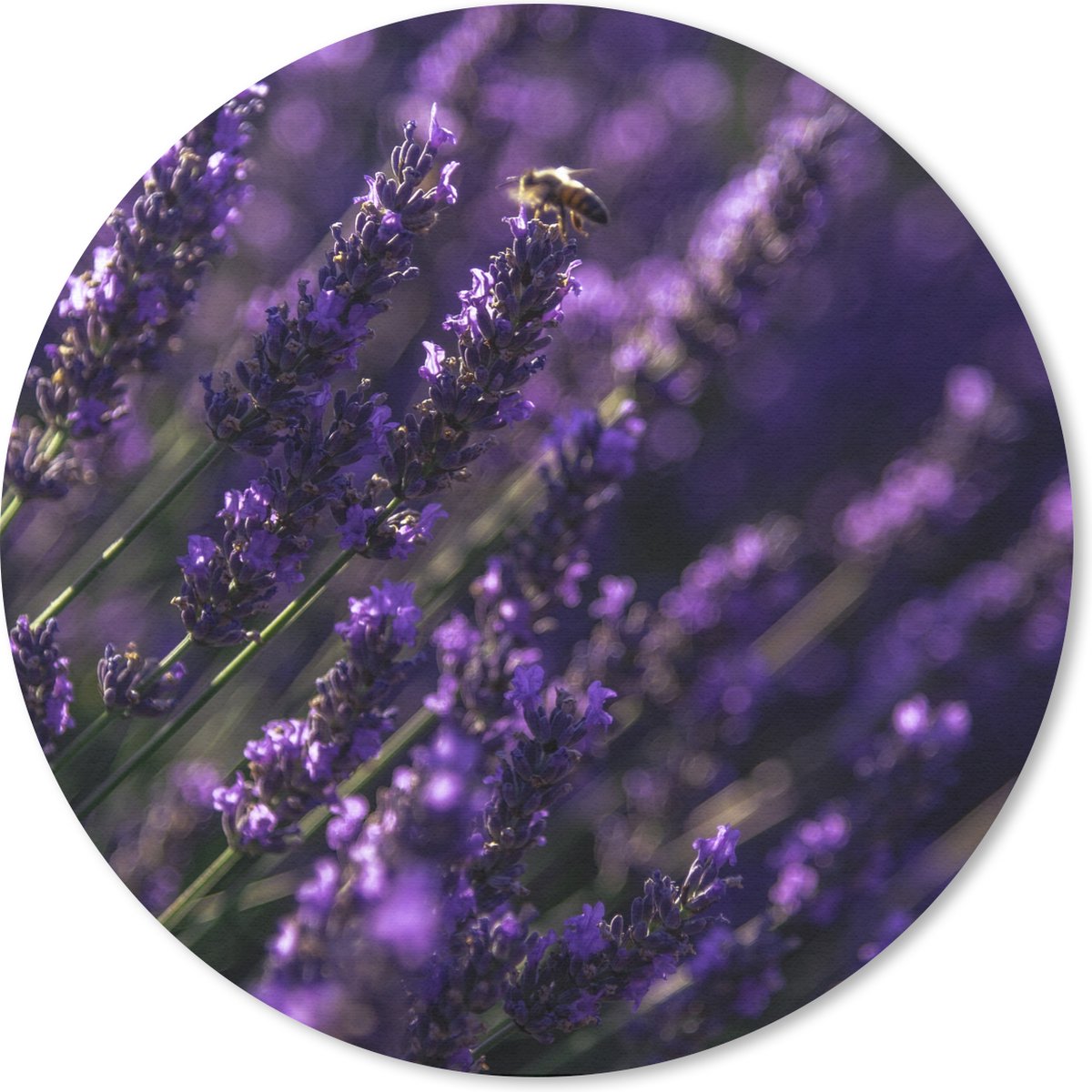 Muismat rond 30x30 cm - Mousepad Close-up van lavendel met bij - Ronde muismatten