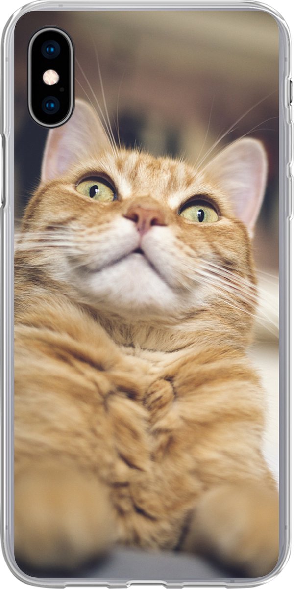 Telefoonhoesje Geschikt voor iPhone Xs hoesje - Kat - Bank - Oranje - Siliconen Telefoonhoesje Telefoonhoesje
