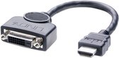 Lindy - Videoadapter - HDMI (M) naar DVI-D (V) - 20 cm