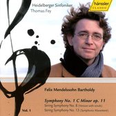 Heidelberger Sinfoniker - Symphony No.1/String Symphonies Nos (CD)