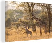 Canvas schilderij 150x100 cm - Wanddecoratie Giraffe - Kalf - Gras - Afrika - Muurdecoratie woonkamer - Slaapkamer decoratie - Kamer accessoires - Schilderijen