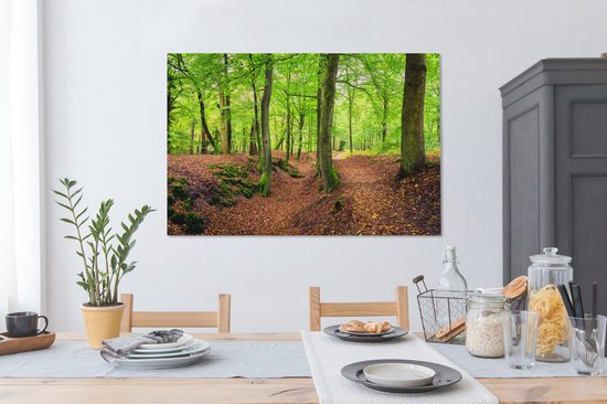 Tableau sur toile Vue de la zone boisée des Pays- Nederland - 120x80 cm - Décoration murale