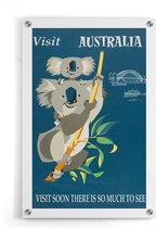 Walljar - Australië Koala's - Muurdecoratie - Plexiglas schilderij