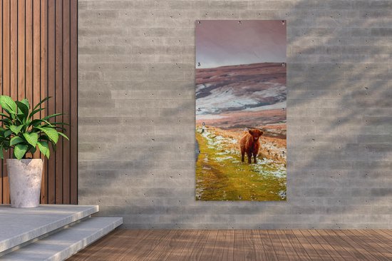 Affiche de clôture Highlander écossais - Nature - Veau - 100x200 cm - Toile de jardin