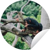 Tuincirkel Jonge chimpansee in de jungle - 120x120 cm - Ronde Tuinposter - Buiten XXL / Groot formaat!