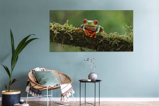 Peinture sur toile Grenouille aux yeux rouges sur une branche couverte - 160x80 cm - Décoration murale