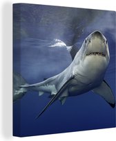 Canvas Schilderij Grote witte haai - 90x90 cm - Wanddecoratie