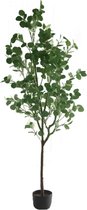 Eucalyptus Kunstplant 180 cm | Eucalyptus Kunstboom | Grote Kunstplanten | Kunstplanten voor Binnen