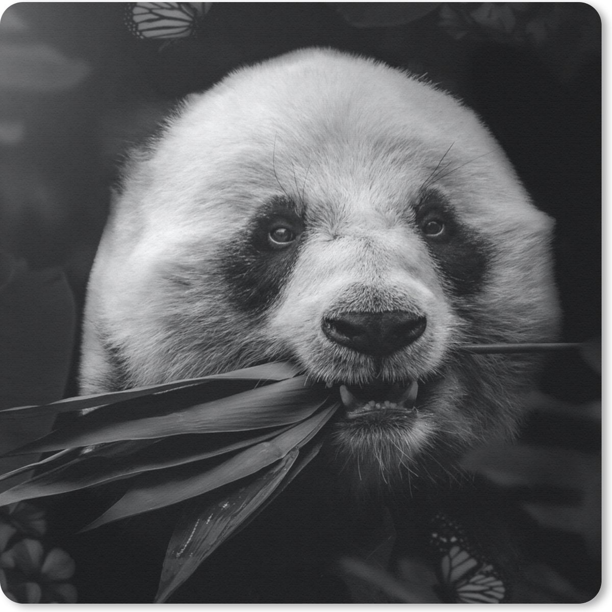 Muismat 30x30 cm - Mousepad Dieren - Panda - Jungle - Zwart - Wit - Muismatten