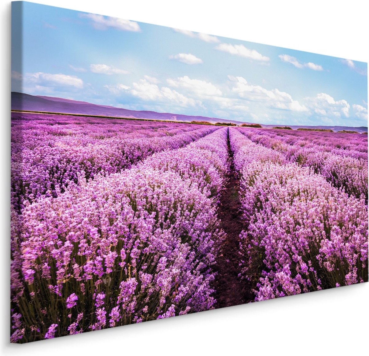 karo-art Schilderij - Bloeiend Lavendel Veld, Paars/blauw, Premium Print Multikleur
