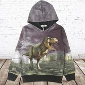 Zwarte hoodie met dino T-rex