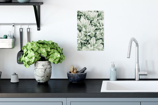 Affiche plantes en fond naturel - 20x30 cm