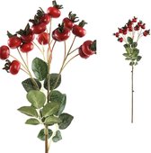 PTMD Berry Plant Rozen Kunsttak - 24 x 15 x 58 cm - Rood