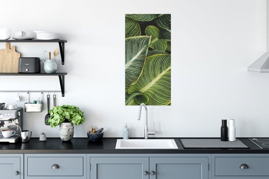 Affiche Feuilles - Plante - Wit - 40x80 cm