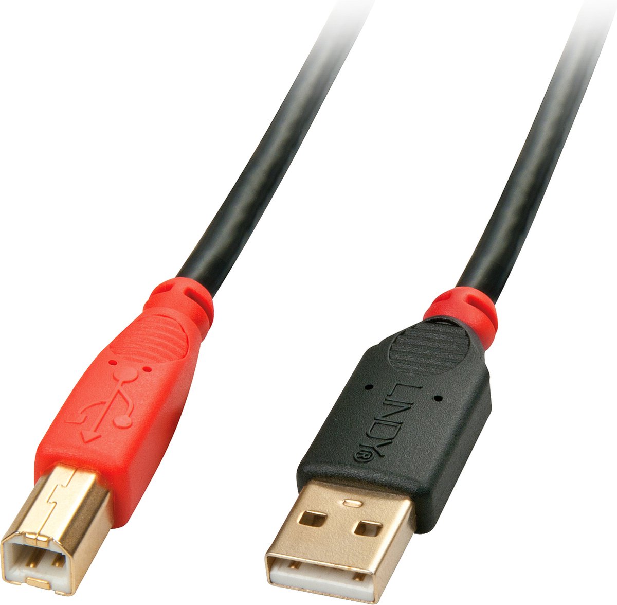 USB A to USB B Cable LINDY 42761 10 m Black Multicolour