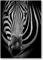 Zebra op donkere achtergrond - A2 Poster Staand - 42x59cm - Dieren - Minimalist
