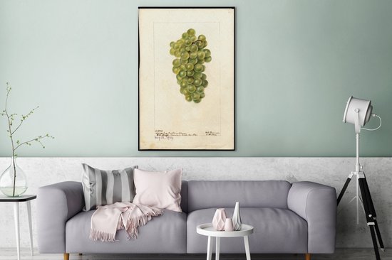 Toile Peinture Raisins Witte - peinture de Deborah Griscom Passmore - 90x140 cm - Décoration murale