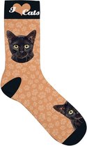Plenty Gifts Sokken Cat Black Polyester Oranje Maat 37-42