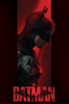 Affiche Batman de l'ombre 61x91,5cm