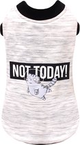 Croci kattentrui not today grijs (30 CM)