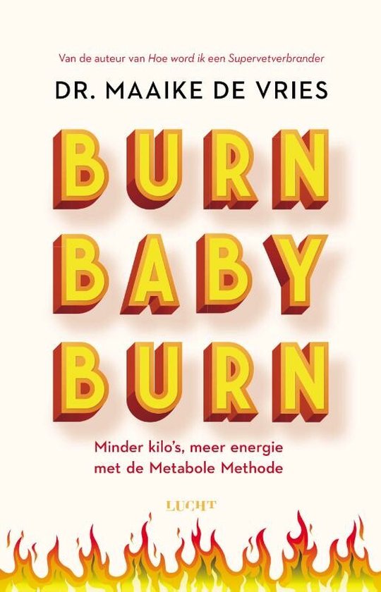 Boek: Burn baby burn, geschreven door Maaike de Vries