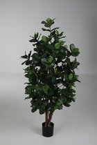 Clusia boom - Grote copey - tropische plantensoort - kunstplant - topkwaliteit - 100 cm hoog