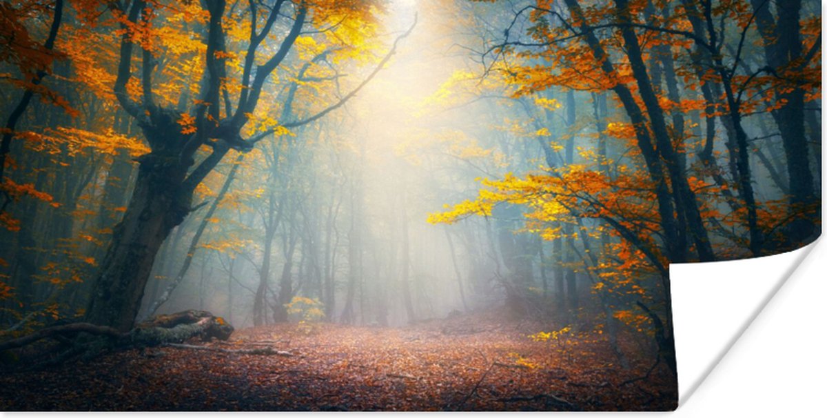 Poster Bos - Mist - Herfst - 80x40 cm