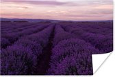 Poster Lavendel - Paars - Bloemen - Natuur - 180x120 cm XXL