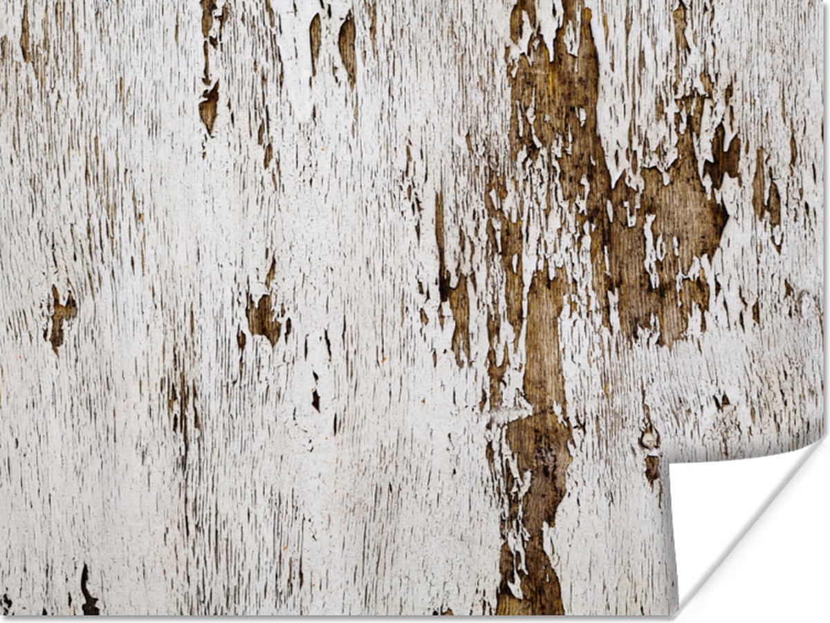 Poster Hout - Rustiek - Boom - 80x60 cm