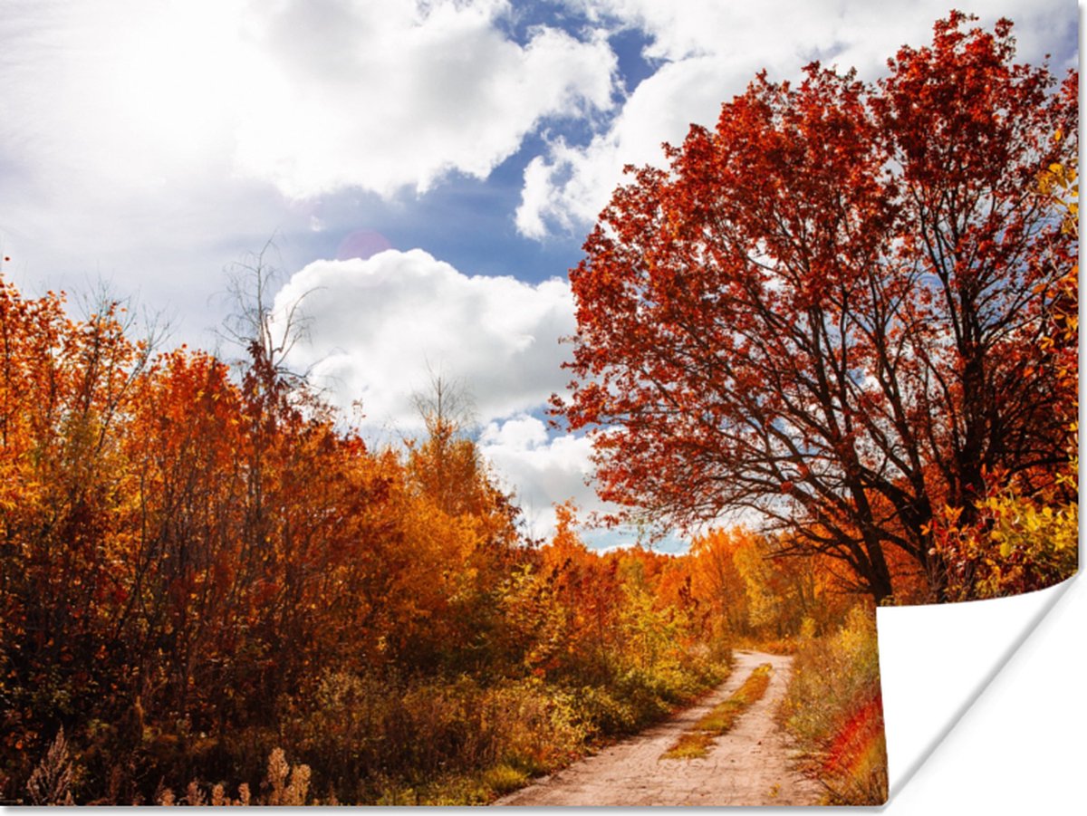 Poster Boom - Pad - Herfst - 40x30 cm