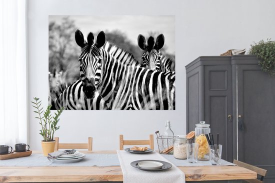 Affiche Zebra - Zwart - Wit - Animaux - 160x120 cm XXL