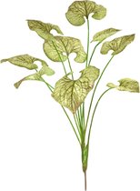 Brunnera kunstplant 55cm - groen/bruin