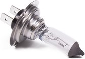 Benson Autolamp PX26D H7 - 55 Watt - 12 Volt