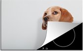 KitchenYeah® Inductie beschermer 80x52 cm - Beagle puppy kijkt weg van de camera - Kookplaataccessoires - Afdekplaat voor kookplaat - Inductiebeschermer - Inductiemat - Inductieplaat mat